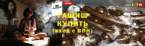 сатива Аркадак
